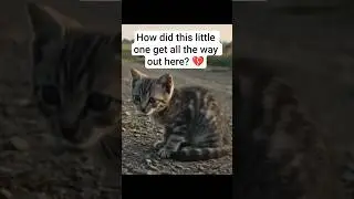 She's so lost and all alone in the middle of nowhere... 😥