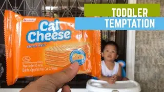 TODDLER TEMPTATION | DON&rsquo;T IT EAT CHALLENGE (Vlog #5) - Relampagos Family