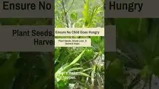 Lasting Legacy | Sustainable Communities | Nourishing the Future #jamaica #legacyofhope