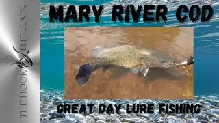 MARY RIVER COD HOW GOOD WAS THIS DAY | how to catch cod and bass on lures.