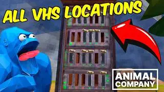 Every VHS Location In Animal Company!!!