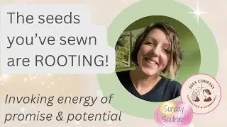 Invoke Promise & Prosperity: Energy Bath #reiki#distanthealing
