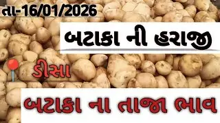 ડીસા બટાકા ની હરાજી//Deesa bataka haraji //डीसा आलु मंडी #deesa#explorepage #new #palanpur #viral 