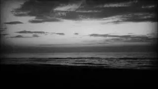 Daniel Hofecker: New Day Dawnin'