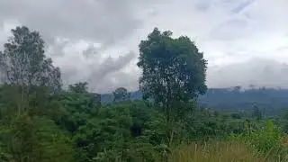 🎶Kumpulan Lagu Bondan X Tipe-X Terbaik Sepanjang Masa | Ska Rap Indonesia Paling Ngehits🎶