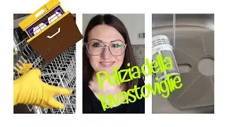 PULIZIA DELLA LAVASTOVIGLIE|| con prodotti economici ed efficaci