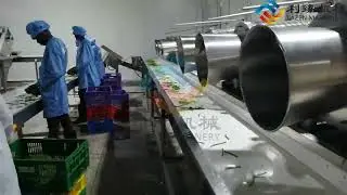 Automatic beans canning production line fruit and vegetable processing machine