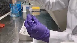 Plant cell  culture Suspension culture -  Staining and counting of suspension cells
