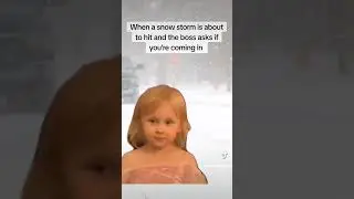 Staying home from work #shorts #snow #snowstorm #work #funny #meme #funnymemes #fyp