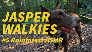 Jasper Walkies - Rain forest - ASMR
