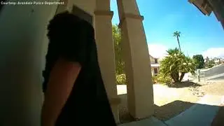 Surveillance Video: 2 guys kick in homeowners front door