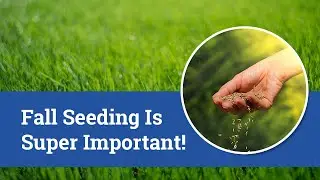 Fall Seeding Is Super Important!