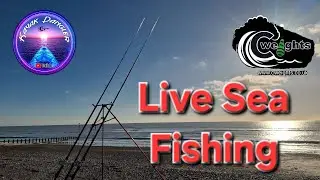 KayakDangler's Fishing Adventures  is live Sea Fishing, #fishing #live #viral