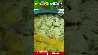 బయో ఎంజైమ్స్ అంటే ఏంటి, ఉపయోగాలేంటి? Benefits Of Bio Enzymes | Farmer Sunanda - ABN Agri #shorts