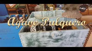 Conoce el destilado de agave pulquero hecho en Tlaxcala