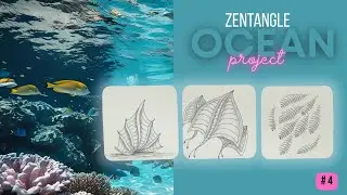 Zentangle OCEAN Project #4 | Coral Seeds, Rayz, Indyrella | Fun and Easy Drawing