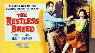 Scott Brady - Top 35 Highest Rated Movies