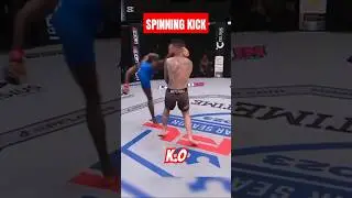 How to Master the Perfect Spinning Kick! #spinningkick #mmahighlights #fightskills