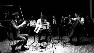 Florian Willeitner String Experience - Mozart in the Shape of Europe