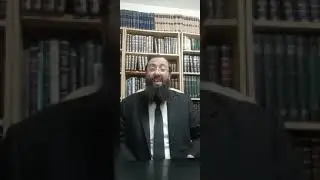L&rsquo;application m&eacute;ticuleuse de la halacha chez le rav Eliashiv