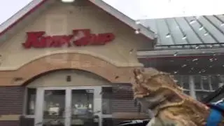 Bearded Dragon Driving Car