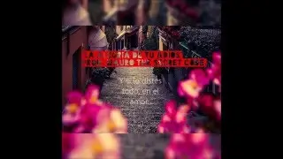 Sammy Boy - La Alegria de tu Adios (Official Lyric Video)