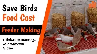 കിളികളുടെ ഭക്ഷണച്ചെലവ് എങ്ങനെ ലാഭിക്കാം | Birds Food Feeder Making | DIY | Malayalam | MY PET PLANT