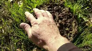 Quand la prairie reverdit : les 3 leviers de repousse d'une prairie.