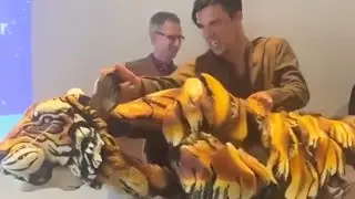 SORPRENDE T&Iacute;TERE DE TIGRE OPERADO POR LOLITA CHAKRABARTI Y FINN CALDWELL 🧑&zwj;🏫📝🖤🐯🐅