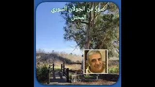 صور من الجولان السوري المحتل02‏/11‏/2023