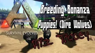 Ark Survival Evolved: Dire Wolf Puppies!  (Breeding Bonanza Episode 2) Xbox One