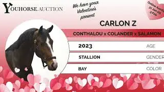 Carlon IN THE ‘VALENTINE EDITION’ YOUHORSE.AUCTION LOOSE JUMPING JANUARY 31 - FEBRUARY 3 2026