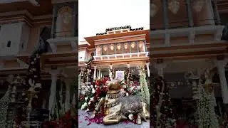 Udaipur Palace Wedding Decor | A Royal Wedding Dream | Rajpal Productions  #rajpalproductions