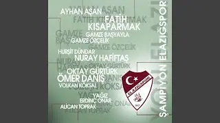 Mezireden Çıktım