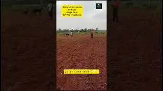 4.50 Acre Mango Farm For Sale Dharwad | Karnataka #agrifarm #agricultural #vegitables #mangofarming