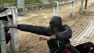 TRAP рэкетиров (IbraTV)