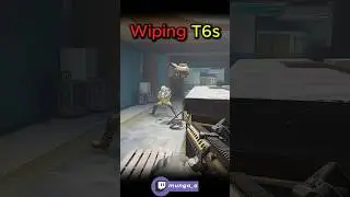 We Lost One | Arena Breakout Infinite