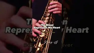 The Moon Represent My Heart #music shorts #viral #youtubeshorts #saxophone #cover #kennyG #fyp #fypシ
