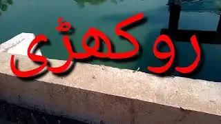 rokhari bridge