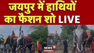 Jaipur Elephant Fashion Show LIVE: जयपुर में हाथियों को फैशन शो |World Elephant Day |  Elephant Walk