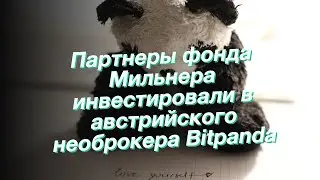 Партнеры фонда Мильнера инвестировали в австрийского необрокера Bitpanda