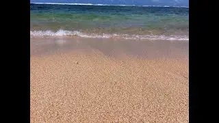 Particles settling velocity