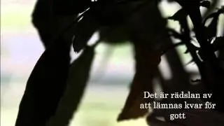 Patrik Isaksson & Bandet - Under mitt tunna skinn (Lyrics)