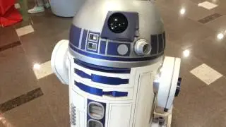 R2-D2s auf der FedCon 2015