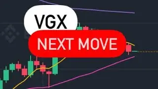 VGX COIN NEXT TARGET VGX TOKEN VGX TOKEN PRICE PREDICTION  ANALYSIS VGX CRYPTO PRICE FORECAST 2023