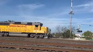Amtrak California, LOA11, and Work Train at Martinez