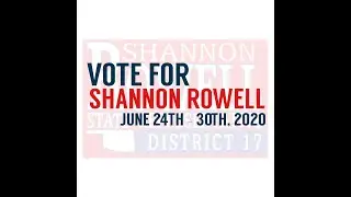 Vote Rowell 2020