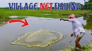 Village fisherman catching fish by net || Fisherman net fishing 2021 || #fishingo