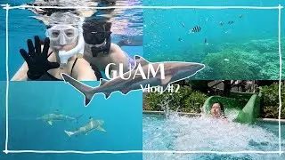 [괌여행 #2] 프리다이빙하다가 상어 만나봤니 l GUAM · 피시아이 · 블랙팁샤크 · 브이로그