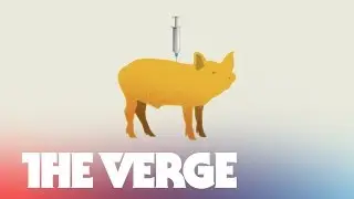 Can we conquer infectious disease? - THE BIG FUTURE Ep. 10
